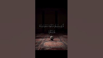 يا ليتَها كانت القاضية ، القارئ أحمد النفيس ، حفظه الله.