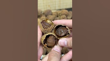 VẢI THIỀU SẤY KHÔ | Phan Trần Vĩ #food #reviewdoanvat #xuhuongyoutube #anvat #foodreview #amthuc