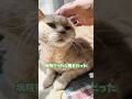 病院行ったら腸炎だったよ