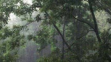 سورة الكوثر بصوت الشيخ ياسر الدوسري