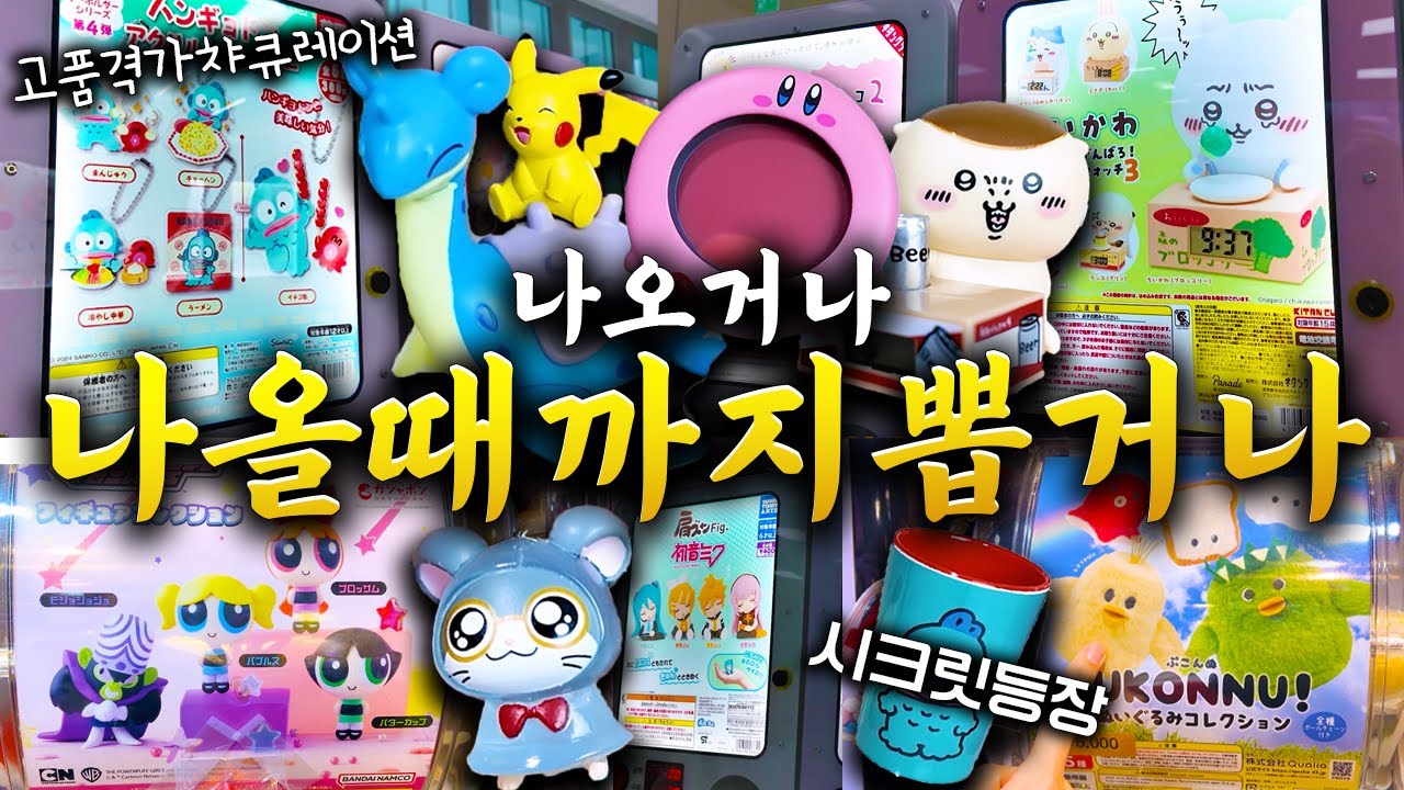 뽑자. 죽을때까지 가챠 뽑고 지는 쪽이 개가 되는걸로.