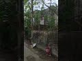 আজকে প্রচুর বৃষ্টি নামলো #yutubeshorts #trendingshorts