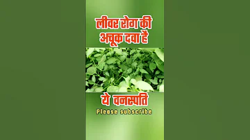 मक य अन क र ग क दव Sehat Healthbenefits घर ल इल ज R Health 