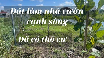 Đất làm nhà vườn cạnh sông Cần Giuộc- Diện tích gần 3000m2- Có sẳn đất thổ cư, Đường xe hơi, SHR