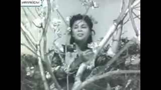 OST Ikan Emas 1965 - Pohon Sakti - Rahmah Ali