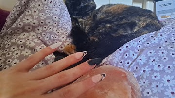 lofi asmr | scratching on himalayan salt lamp | build up camera tapping | no talking 🐱