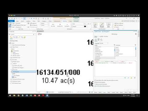 ArcGIS Pro Simple