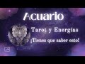 🦋Acuario| EL AMOR TOCA TU PUERTA, ESTA VEZ NO TE ESCAPAS... ✨Futuro Próximo #acuario