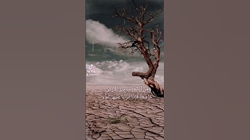 { ومن آياته أنك ترى الأرض خاشعة } [ فصلت: 39] القارئ الشيخ محمد صديق المنشاوي