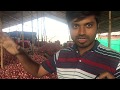 Onion export to Gulf countries | FULL VIDEO  | SORTING | PACKAGING |