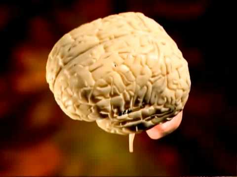 Neurochemistry of Relapse & Recovery DVD - YouTube
