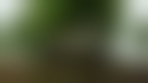 piece of fucking shit game