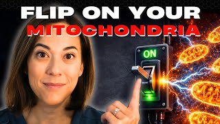 Download Lagu De levensverlengende schakelaar waar niemand je over verteld heeft (en waarom die van jou misschi... MP3