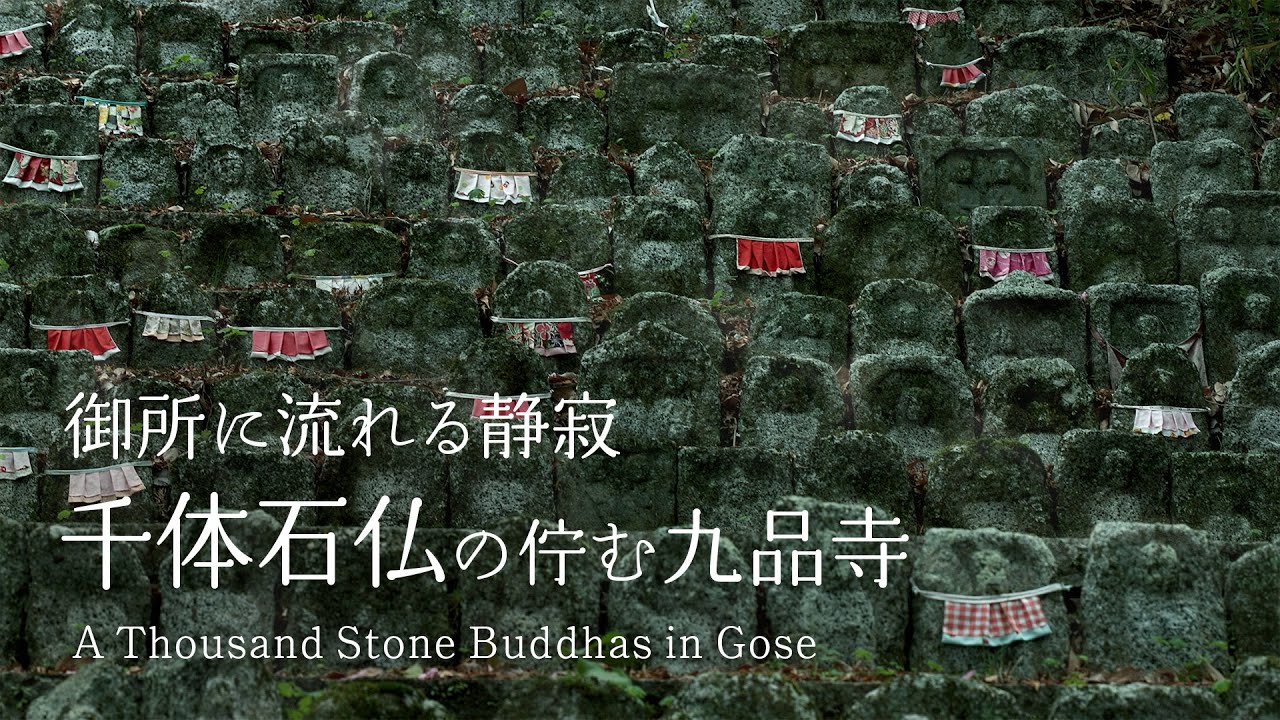 Nara Walk] A Thousand Stone Buddha in Gose: A Surprising View You