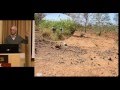 Examples of Grassland Restoration - Excerpt from Talk by Allan Savory at Tufts University