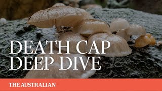 Death cap mushrooms: How did the poisoning in Victoria happen?