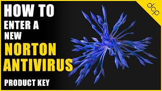 How to enter a new Norton Antivirus Product Key | Tutorial