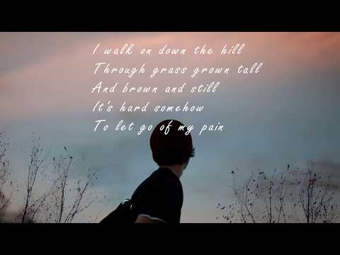 Ray Lamontagne -