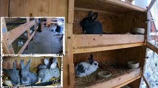 Meine Kaninchen Produktionsanlage