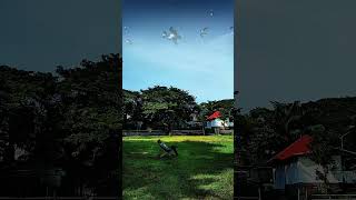 Menunggu vedeo Viral jalanyangjauhjanganlupapulang lifeisbutadream