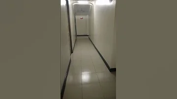 Scarryhallway Hotel Ytshort 