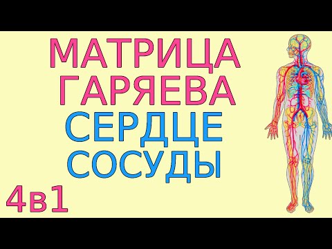 Матрица Гаряева сердечно-сосудистая система. Программа оздоровления № 2-2. Медитация с формулами 4в1