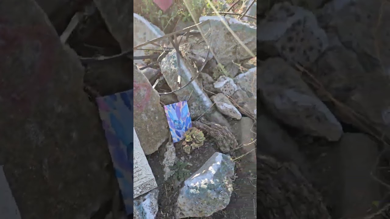 Albany Waterfront Trail 