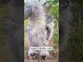 It Looks Scary... Until You See Its Personality