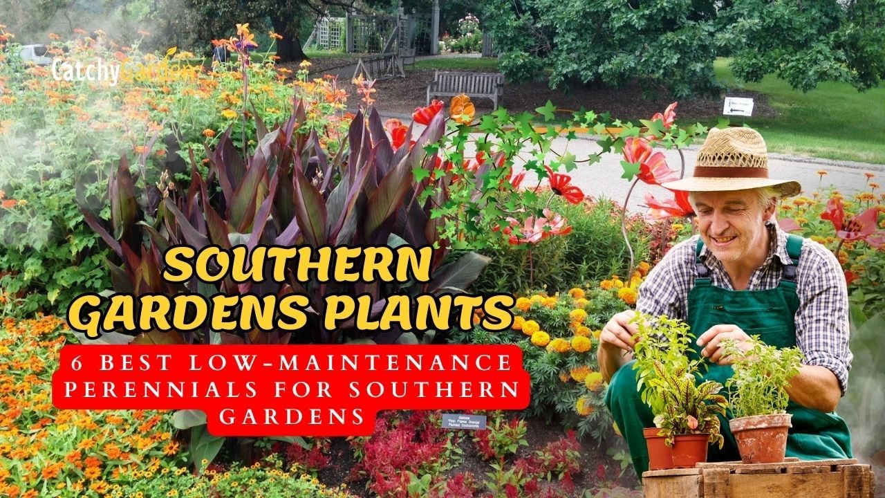 6 Best Low Maintenance Perennials for Southern Gardens 🌷🥀 // Gardening ...