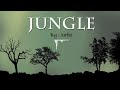 Xafee  jungle