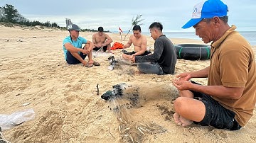 Lưới Cá Đục Trời Êm Biển Đẹp Kéo Nhau Ra Biển Thả Lưới Đục - Dân Biển