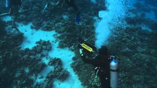 UWR Week 37 - Red Sea Shoot!