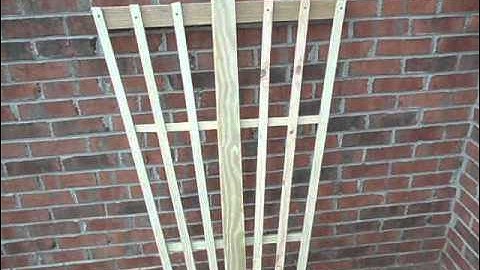 Rose trellis introduction and discussion.