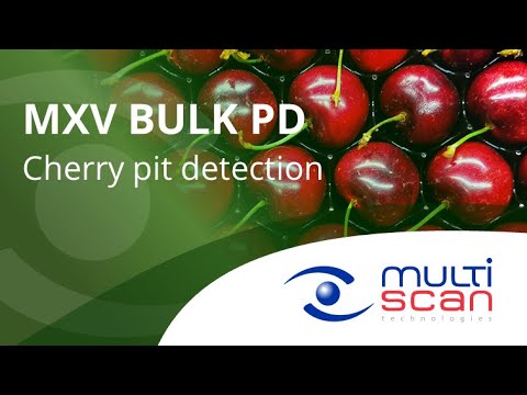 Multiscan MXV-BULK PD Cherry pit detection ENG - YouTube