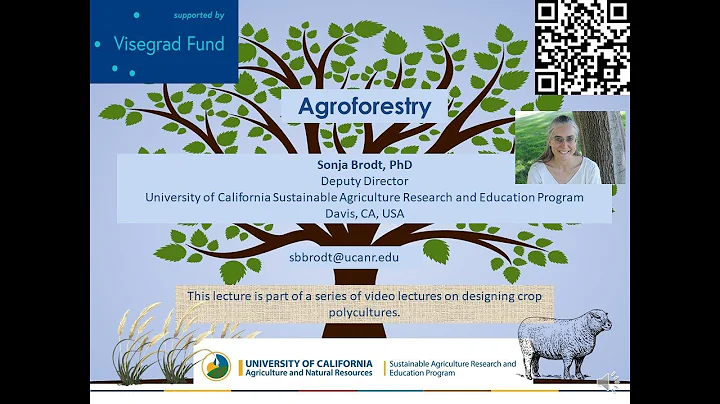 Agroforestry - Sonja Brodt