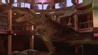 When Dinosaurs Ruled The Earth