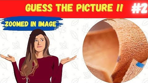 Guess the picture: Zoomed in image.part 2