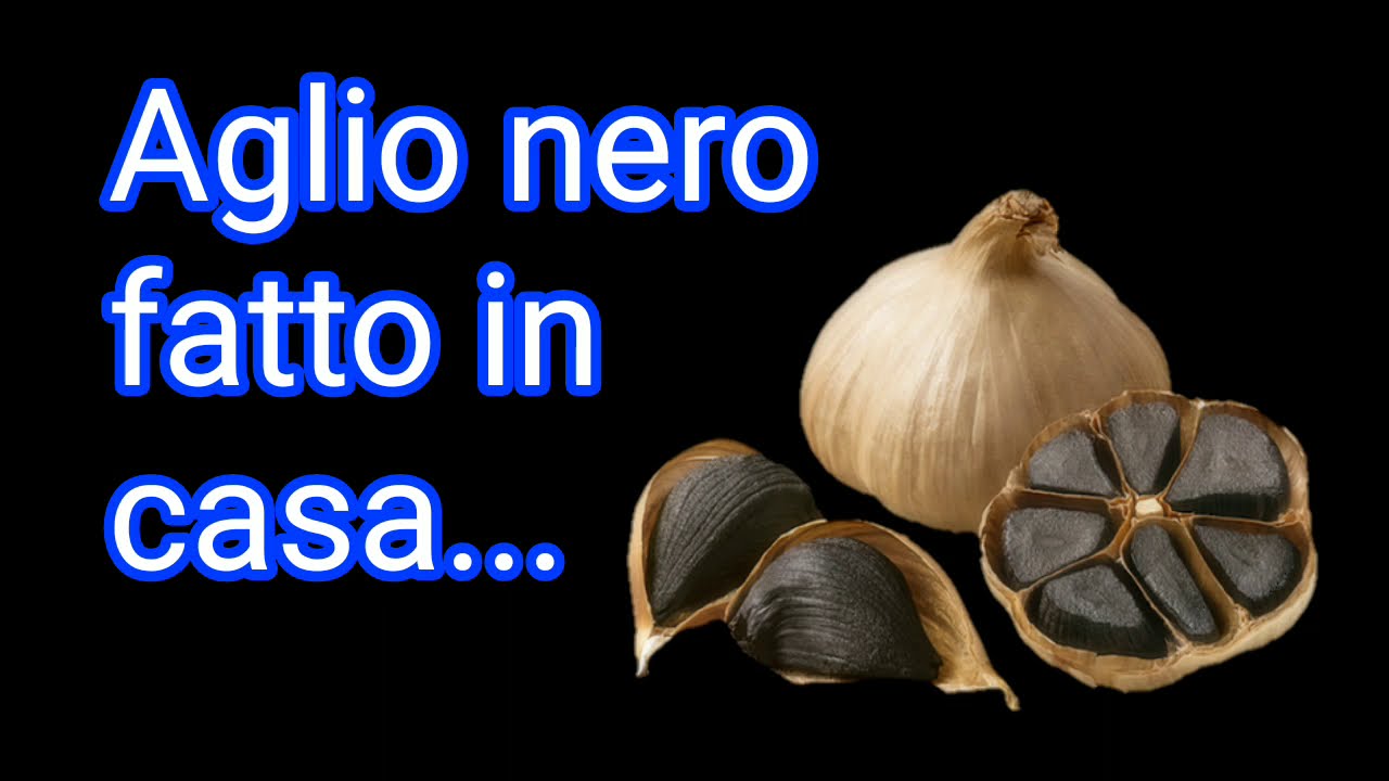 Spænding Abnorm forbedre Come fare l'Aglio Nero - Guida Completa! - YouTube