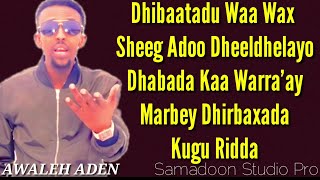 AWALEH ADEN 2022 | DHIBAATADU WAA WAX SHEEG | HEES LYRIC SOMALI MUSIC Samadoon Studio Pro mp4.