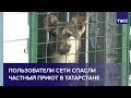 Пользователи сети спасли частный приют в Татарстане