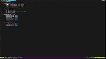 Adding JSON annotation in Golang struct using vim-go