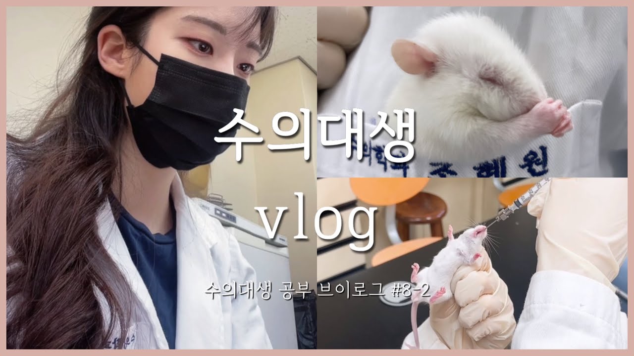 Eng) 수의대생 시험기간 vlog | 개강이 무서워지는 영상🙀 | 수의학과 시험기간의 현실🐭 | 공부자극