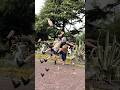 ISSEI BODY PUZZLE 2023 🧩 | Yentamma dance 🕺
