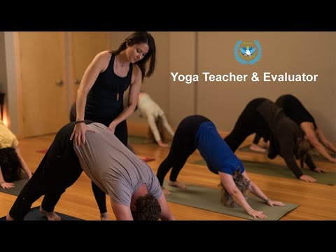 Yoga Teacher & Evaluator