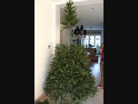 Video: Hoe Zet Je Een Kerstboom Op De Juiste Manier?