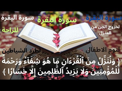 تجربتي مع سورة البقرة و الرقية الشرعية لمدة شهر كانت النتيجة مذهلة