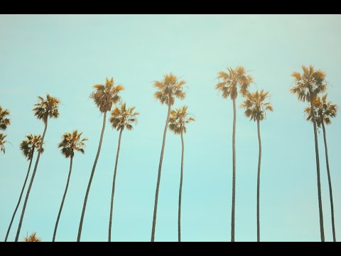 ♬ Relax Music | The Sounds Of Freedom 🔥 | 1 Hour Loop | (FH5 theme song)