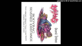 Download Lagu Bodybag - Seeds Of Torment MP3