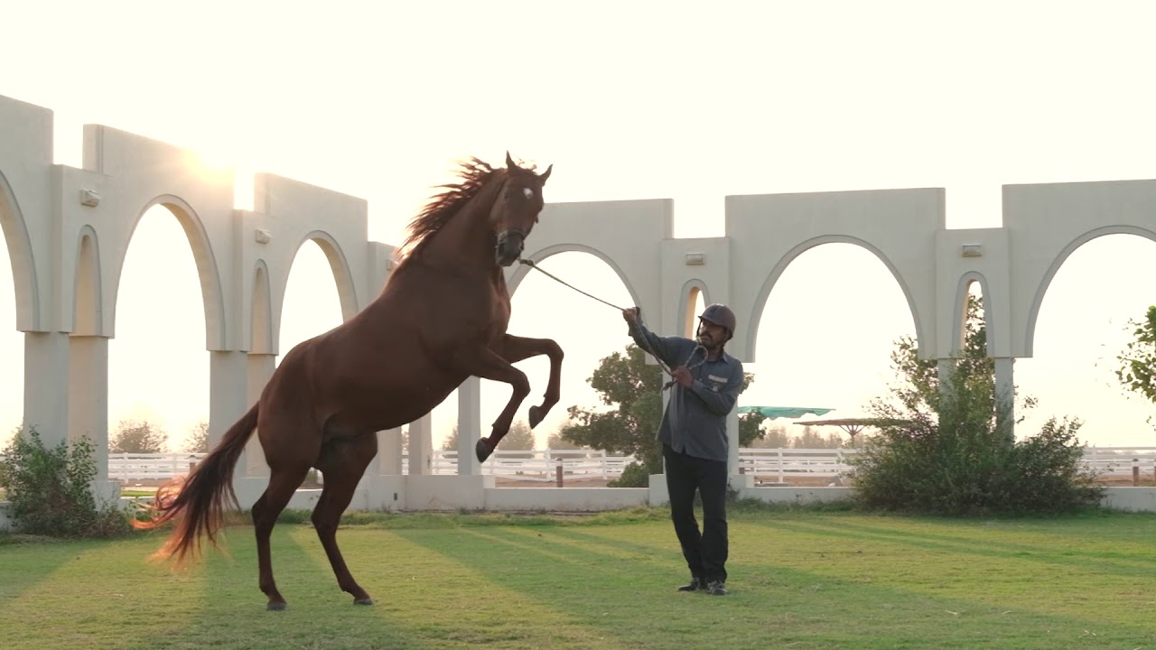 Ghantoot Racing & Polo Club - Presentation