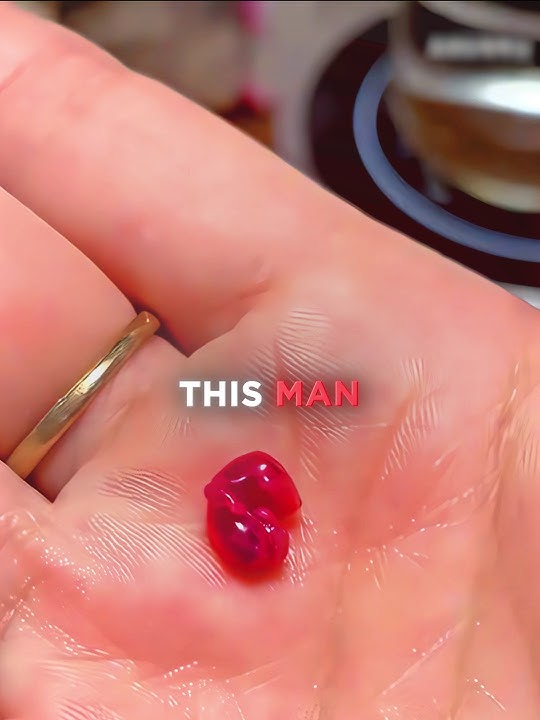 This Man RAISED a Tiny Sugar Glider 🦉❤️ #shorts